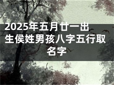 2025年五月廿一出生侯姓男孩八字五行取名字