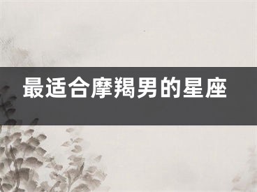 最适合摩羯男的星座