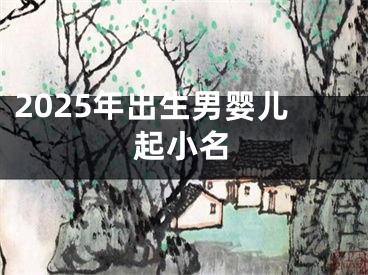2025年出生男婴儿起小名