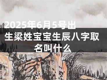 2025年6月5号出生梁姓宝宝生辰八字取名叫什么