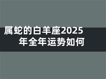 属蛇的白羊座2025年全年运势如何