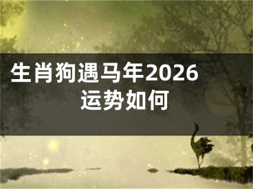 生肖狗遇马年2026运势如何