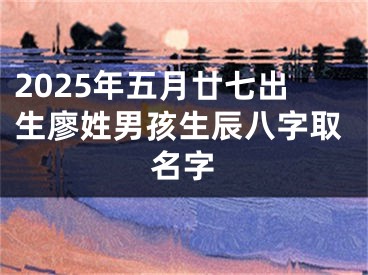 2025年五月廿七出生廖姓男孩生辰八字取名字