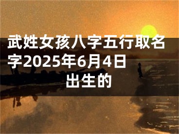 武姓女孩八字五行取名字2025年6月4日出生的