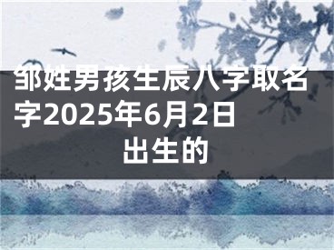 邹姓男孩生辰八字取名字2025年6月2日出生的