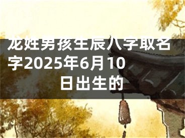 龙姓男孩生辰八字取名字2025年6月10日出生的