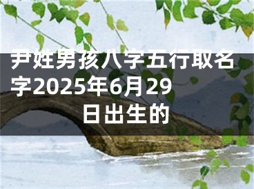 尹姓男孩八字五行取名字2025年6月29日出生的