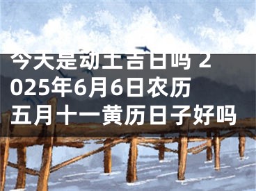 今天是动土吉日吗 2025年6月6日农历五月十一黄历日子好吗