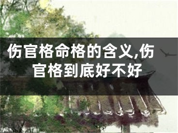伤官格命格的含义,伤官格到底好不好