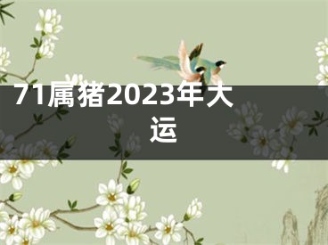 71属猪2023年大运