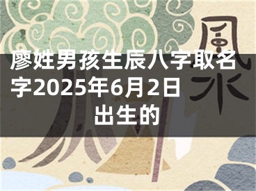 廖姓男孩生辰八字取名字2025年6月2日出生的