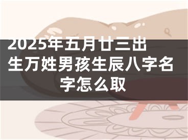 2025年五月廿三出生万姓男孩生辰八字名字怎么取