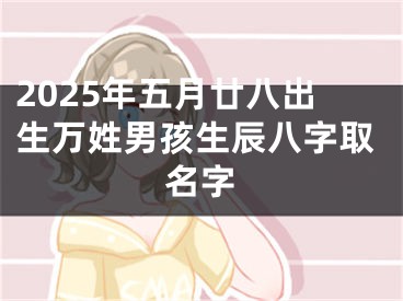 2025年五月廿八出生万姓男孩生辰八字取名字