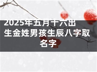 2025年五月十六出生金姓男孩生辰八字取名字