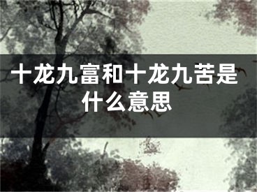 十龙九富和十龙九苦是什么意思