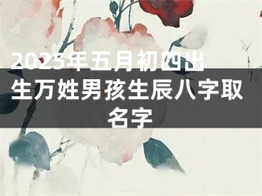 2025年五月初四出生万姓男孩生辰八字取名字
