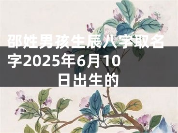 邵姓男孩生辰八字取名字2025年6月10日出生的