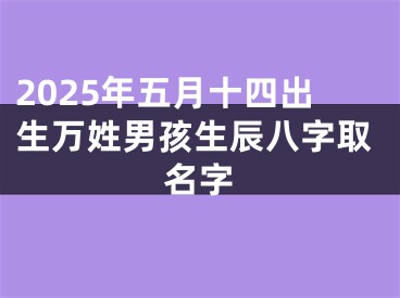 2025年五月十四出生万姓男孩生辰八字取名字