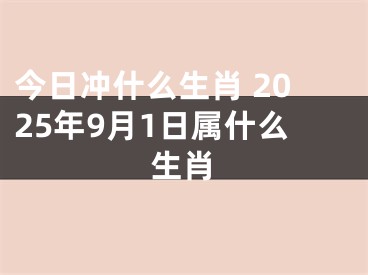 今日冲什么生肖 2025年9月1日属什么生肖