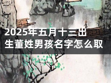 2025年五月十三出生董姓男孩名字怎么取