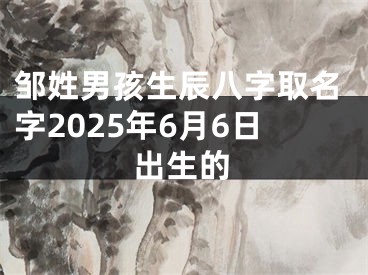 邹姓男孩生辰八字取名字2025年6月6日出生的