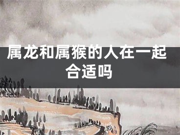 属龙和属猴的人在一起合适吗