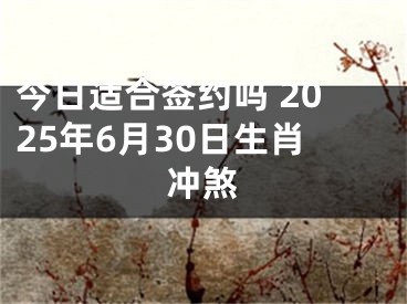 今日适合签约吗 2025年6月30日生肖冲煞