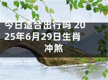 今日适合出行吗 2025年6月29日生肖冲煞