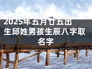 2025年五月廿五出生邱姓男孩生辰八字取名字