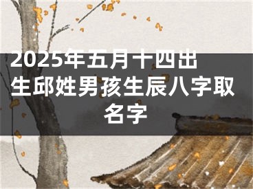 2025年五月十四出生邱姓男孩生辰八字取名字