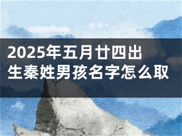 2025年五月廿四出生秦姓男孩名字怎么取