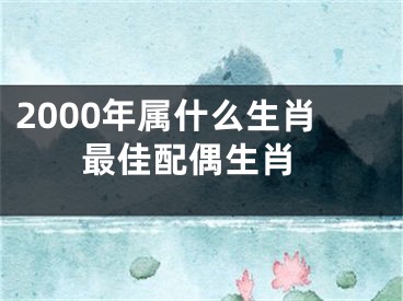 2000年属什么生肖 最佳配偶生肖