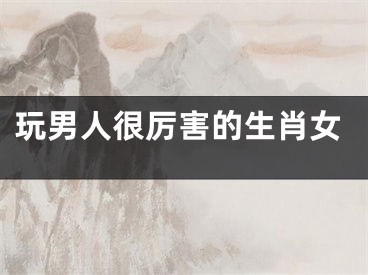 玩男人很厉害的生肖女