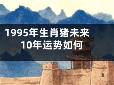 1995年生肖猪未来10年运势如何