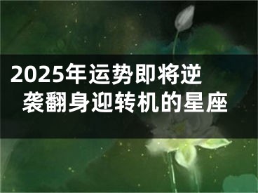 2025年运势即将逆袭翻身迎转机的星座
