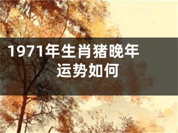 1971年生肖猪晚年运势如何