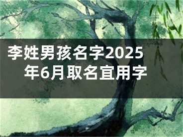 李姓男孩名字2025年6月取名宜用字