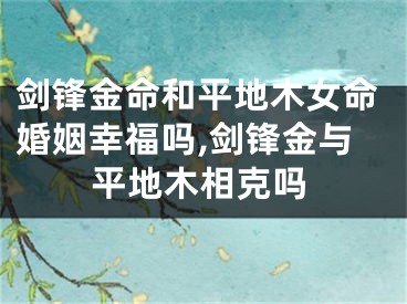 剑锋金命和平地木女命婚姻幸福吗,剑锋金与平地木相克吗