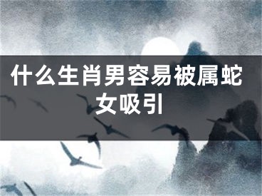 什么生肖男容易被属蛇女吸引