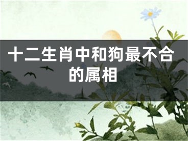 十二生肖中和狗最不合的属相