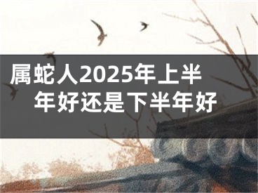 属蛇人2025年上半年好还是下半年好