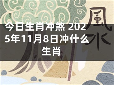 今日生肖冲煞 2025年11月8日冲什么生肖 