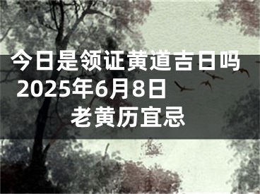 今日是领证黄道吉日吗 2025年6月8日老黄历宜忌