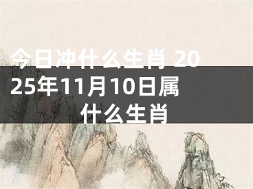 今日冲什么生肖 2025年11月10日属什么生肖
