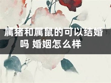 属猪和属鼠的可以结婚吗 婚姻怎么样