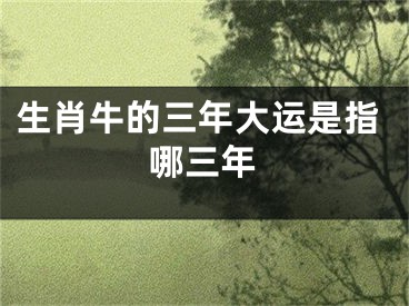 生肖牛的三年大运是指哪三年