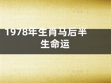 1978年生肖马后半生命运