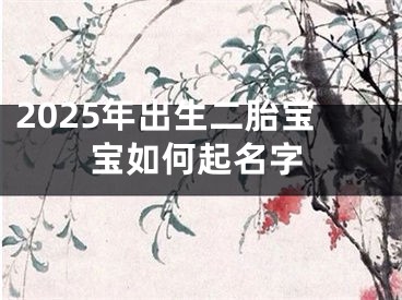 2025年出生二胎宝宝如何起名字