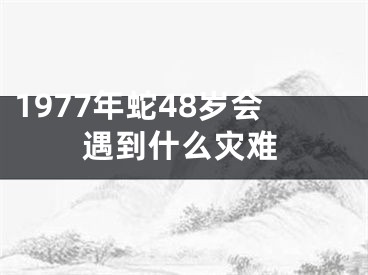 1977年蛇48岁会遇到什么灾难