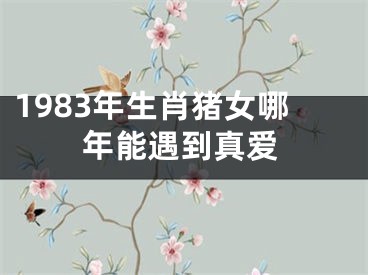 1983年生肖猪女哪年能遇到真爱